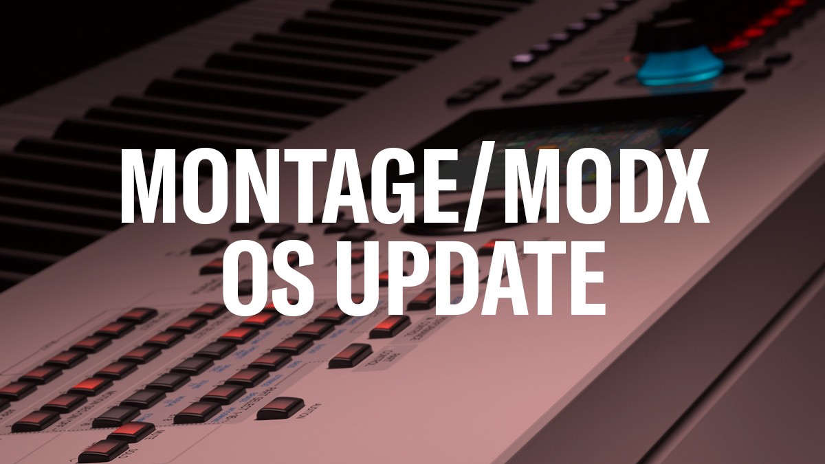 Montage-MODX-OS-Update